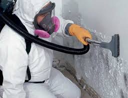 Best Residential Mold Inspection & Testing  in Fort Valley, AZ